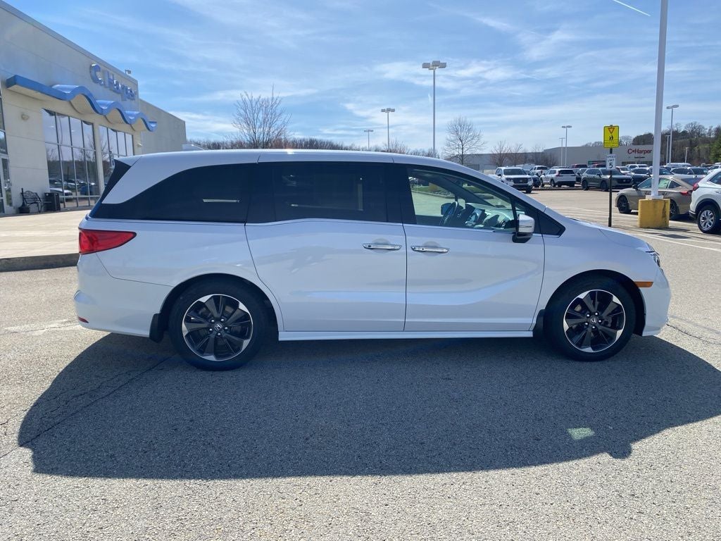 2024 Honda Odyssey Elite