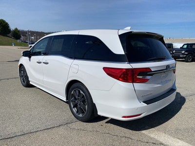2024 Honda Odyssey Elite