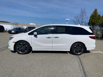 2024 Honda Odyssey Elite